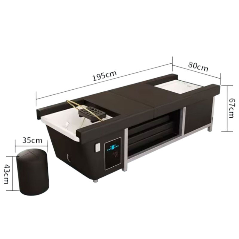 Giường gội đầu đa năng BG-501